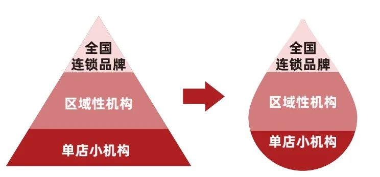 多鲸行研 | 2022 中国素质教育行业报告